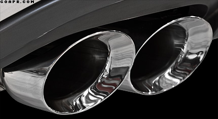 Silver Tips