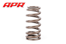 Valve Spring