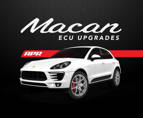 macan-ecu-579x481 macan-ecu-579x481